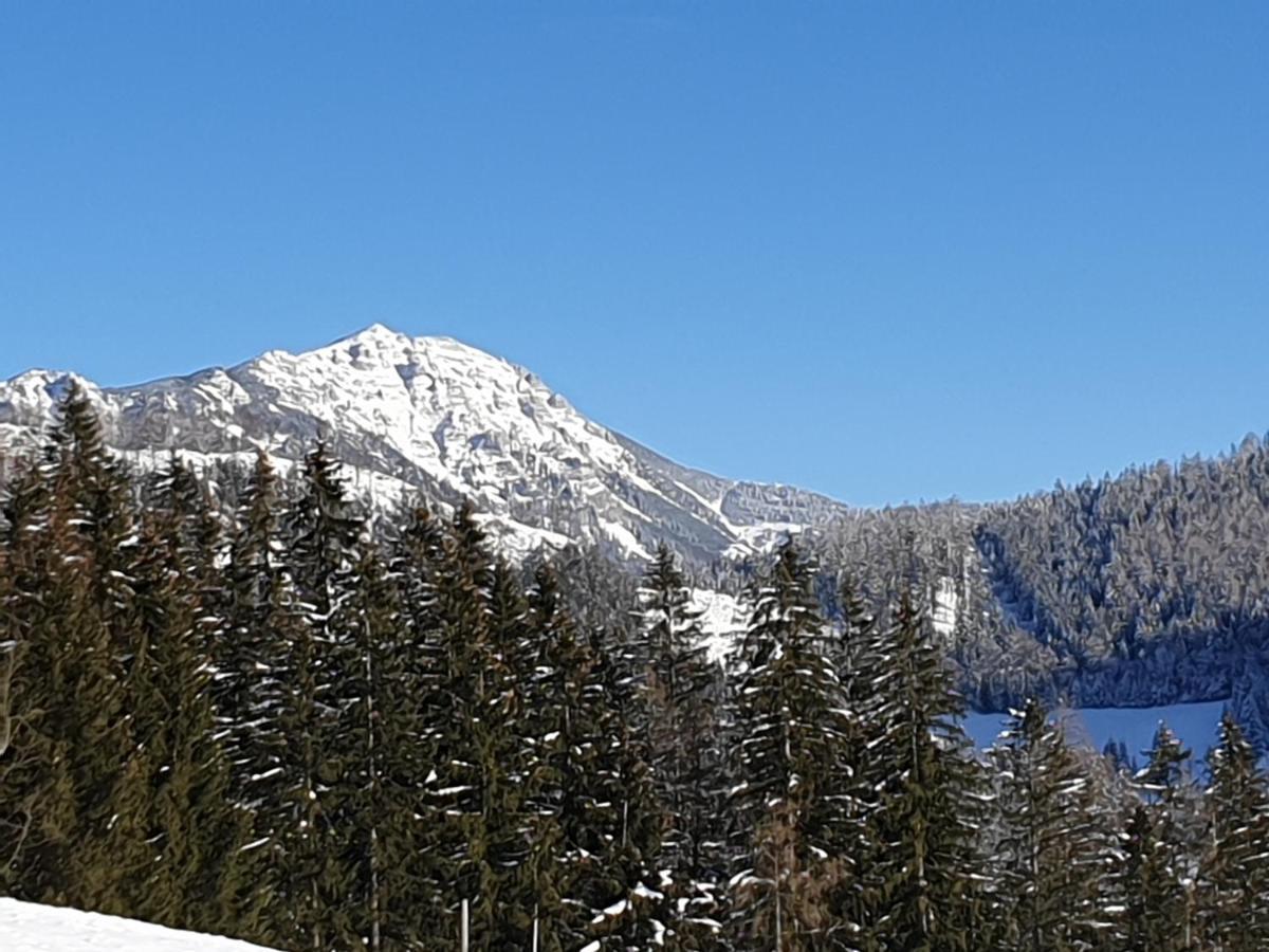 Biobauernhof Obereck Göstling an der Ybbs Exterior foto