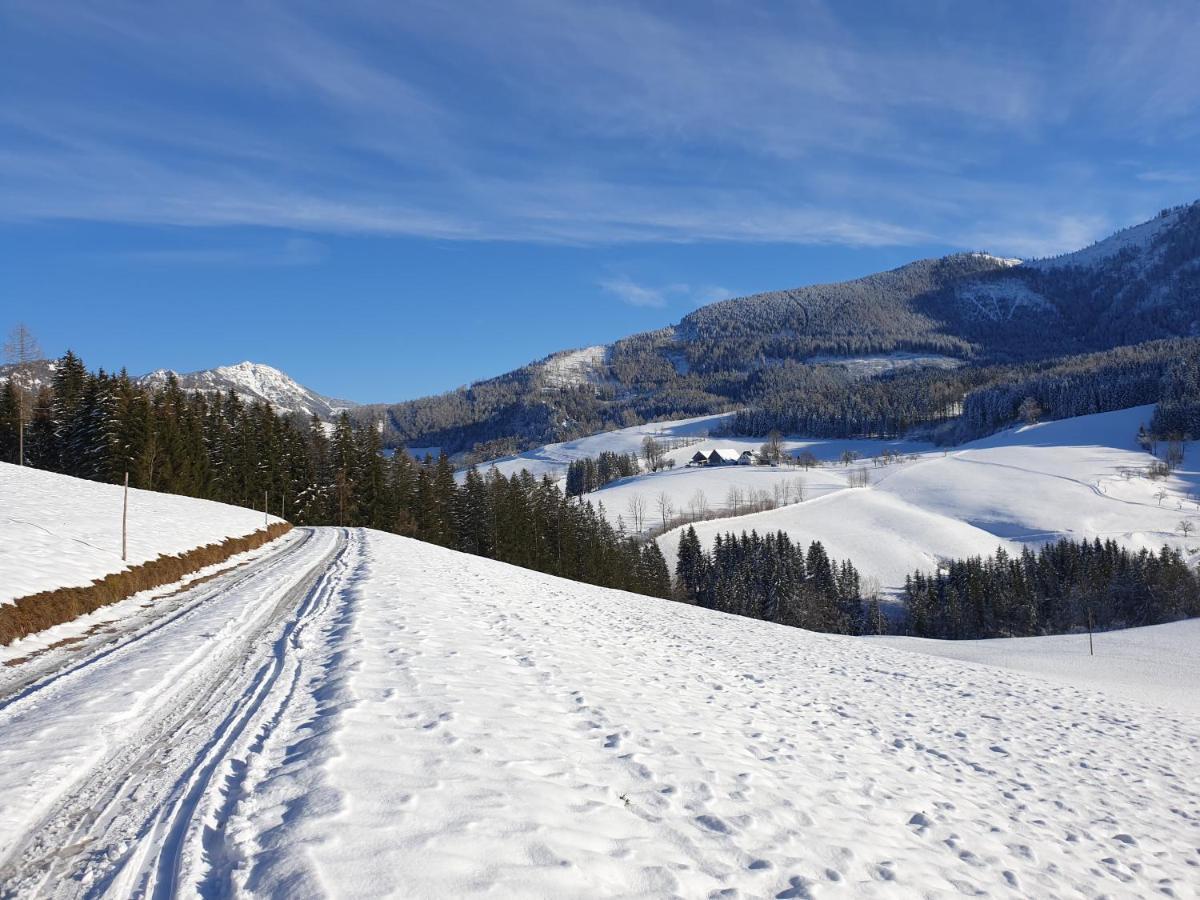 Biobauernhof Obereck Göstling an der Ybbs Exterior foto