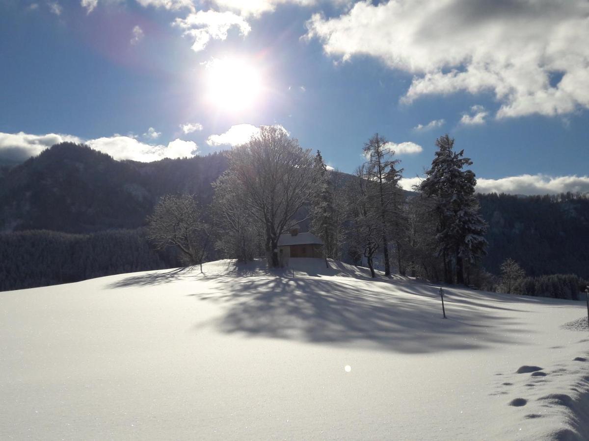 Biobauernhof Obereck Göstling an der Ybbs Exterior foto