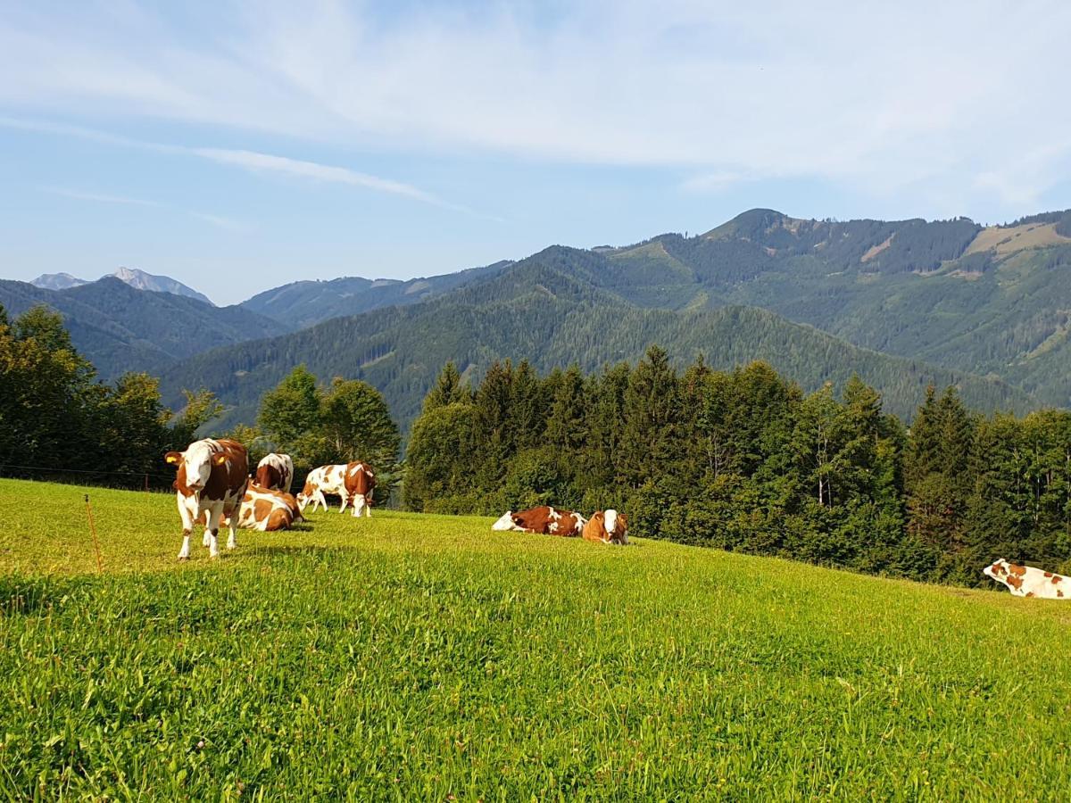 Biobauernhof Obereck Göstling an der Ybbs Exterior foto
