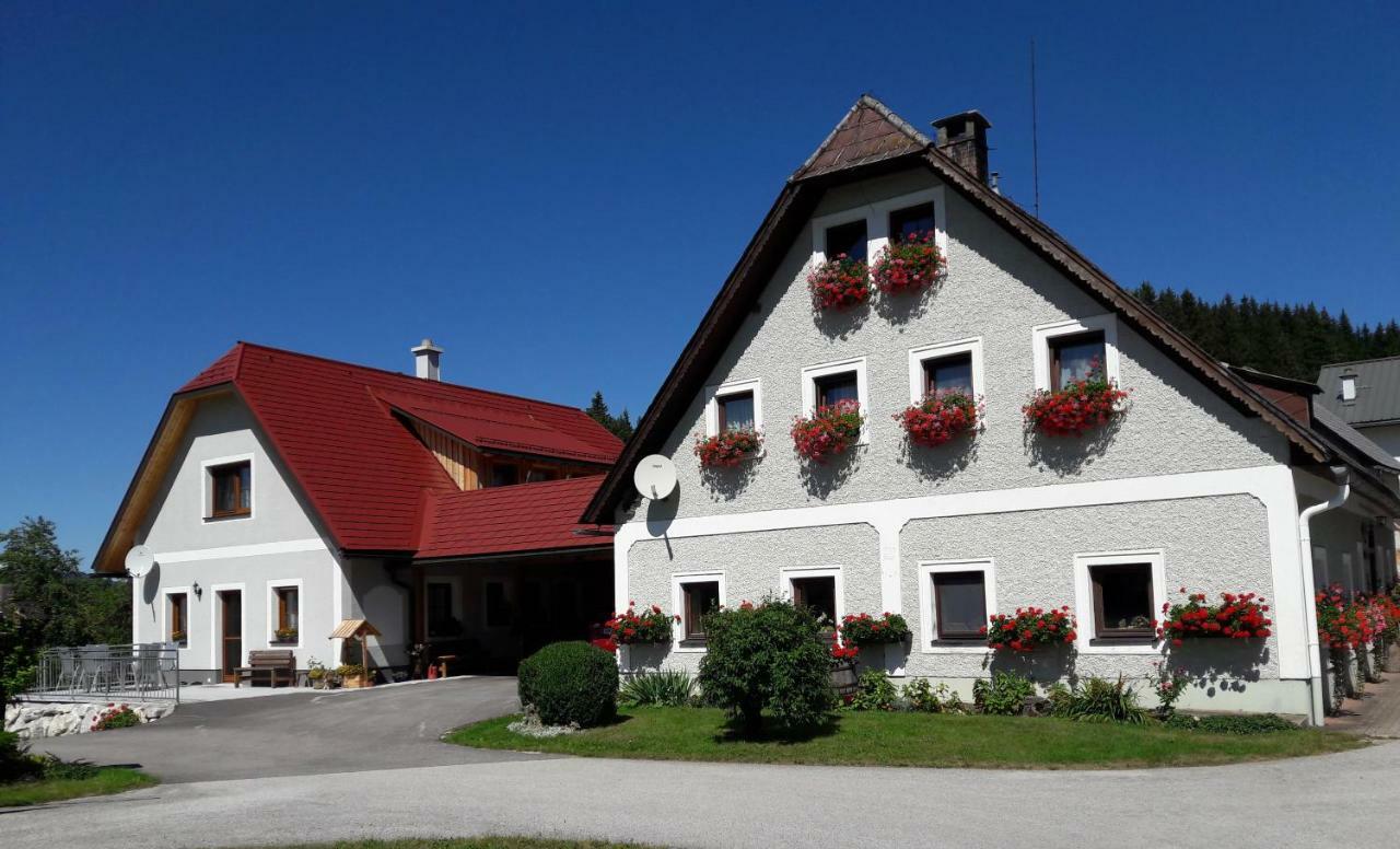 Biobauernhof Obereck Göstling an der Ybbs Exterior foto